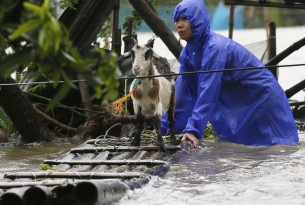A resident reinforces his flooded home at the height of Super Typhoon Haima which lashes Narvacan township, Ilocos Sur province, Philippines - World Animal Protection