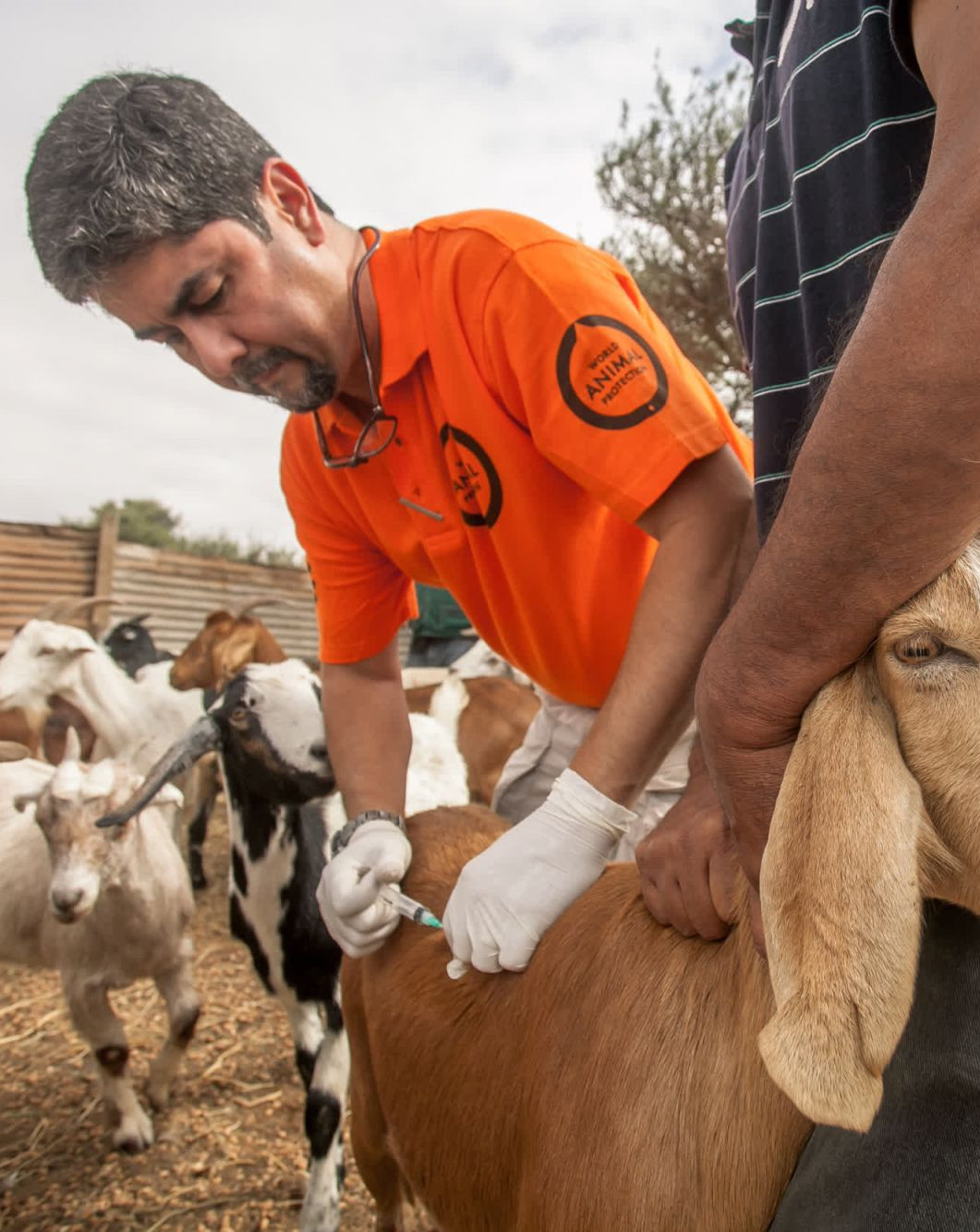 World Animal Protection vet JC Murillo was deployed to the Atacama region of Chile after recent flooding