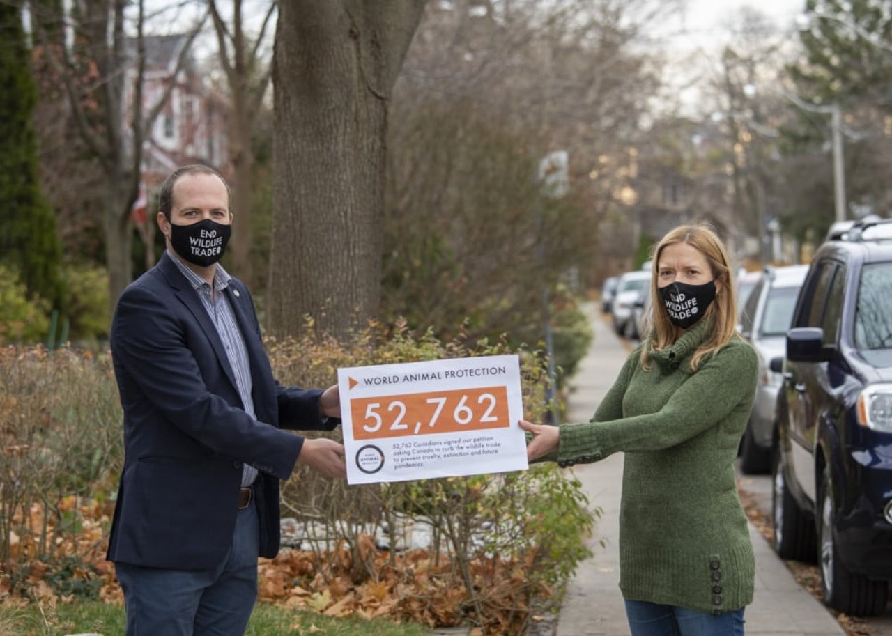  World Animal Protection handing in a petition signed by over 52,000 supporters in Canada to local MP Nathaniel Erskine-Smith