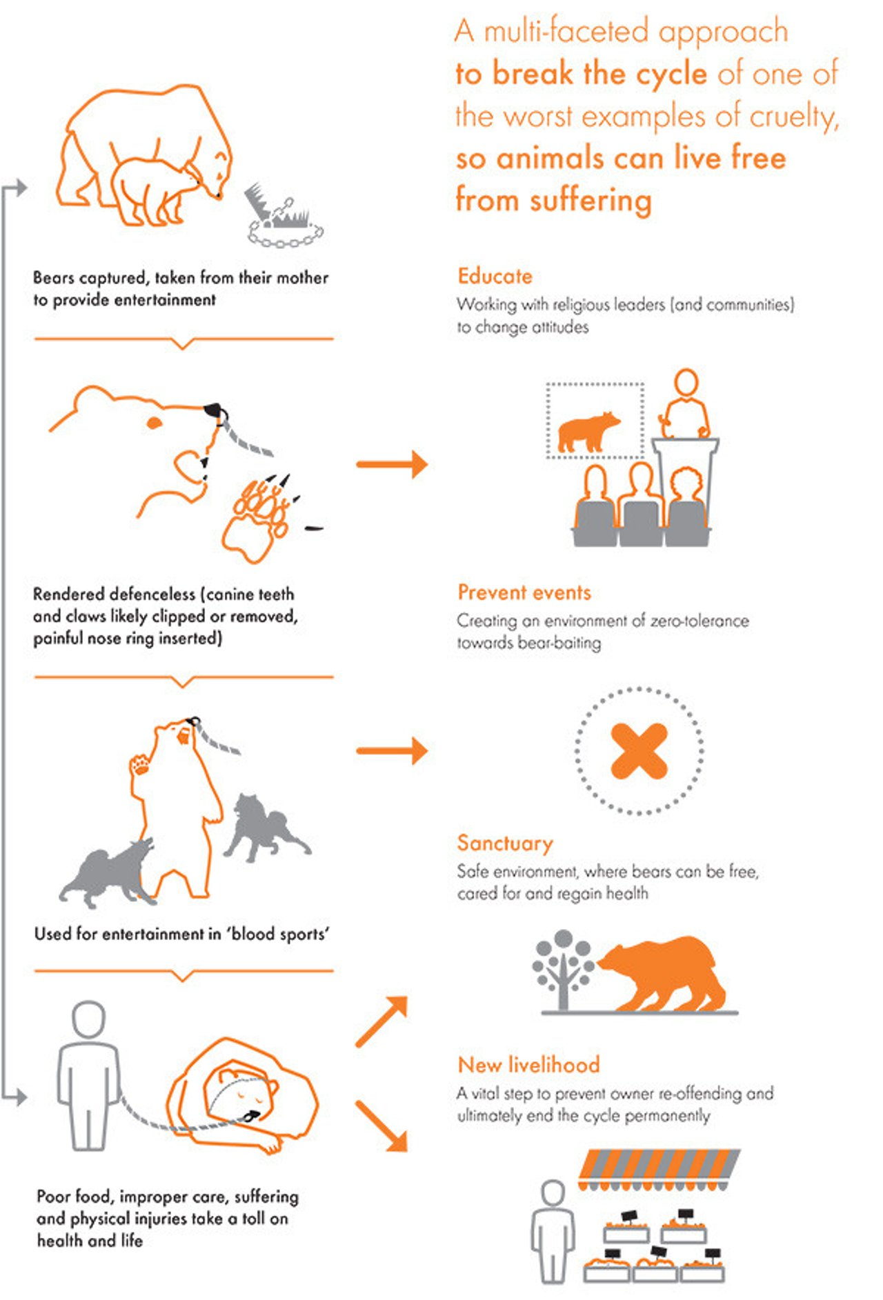bears-in-entertainment-infographic