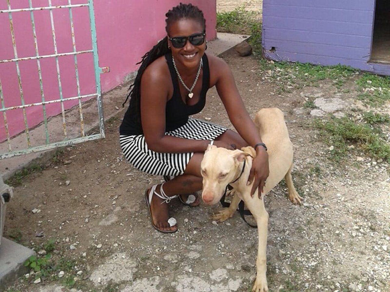 dog_antiguaandbarbuda_800x600_unknown