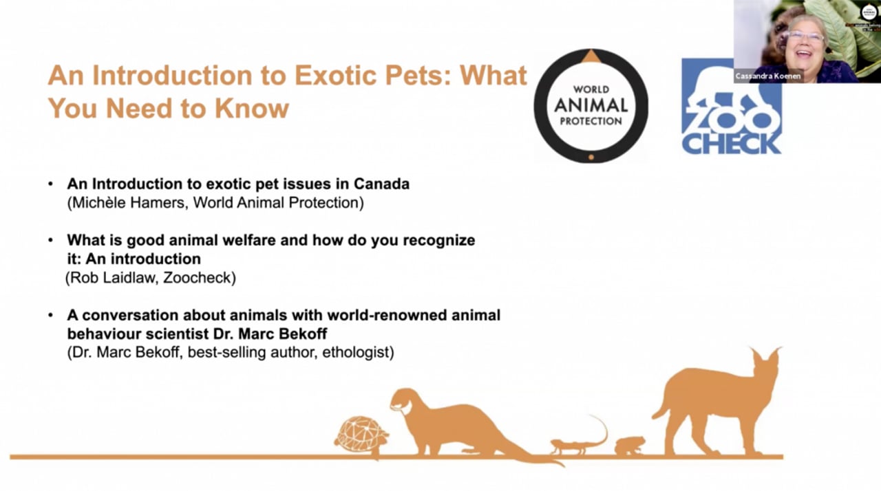exotic_pet_webinar_series_2020_cass