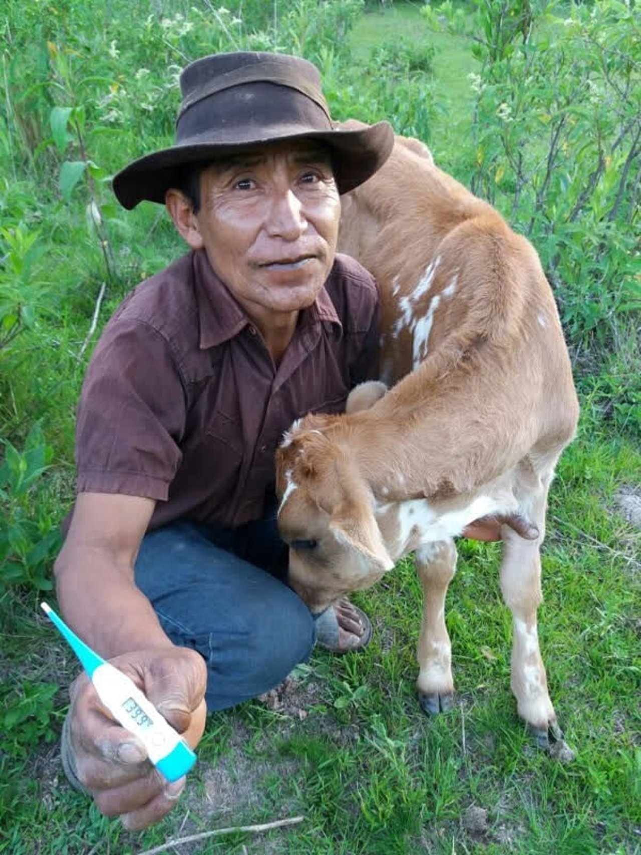 goat_bolivia_600x800_1021156
