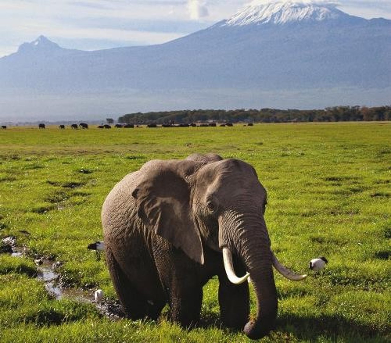 kenya_2