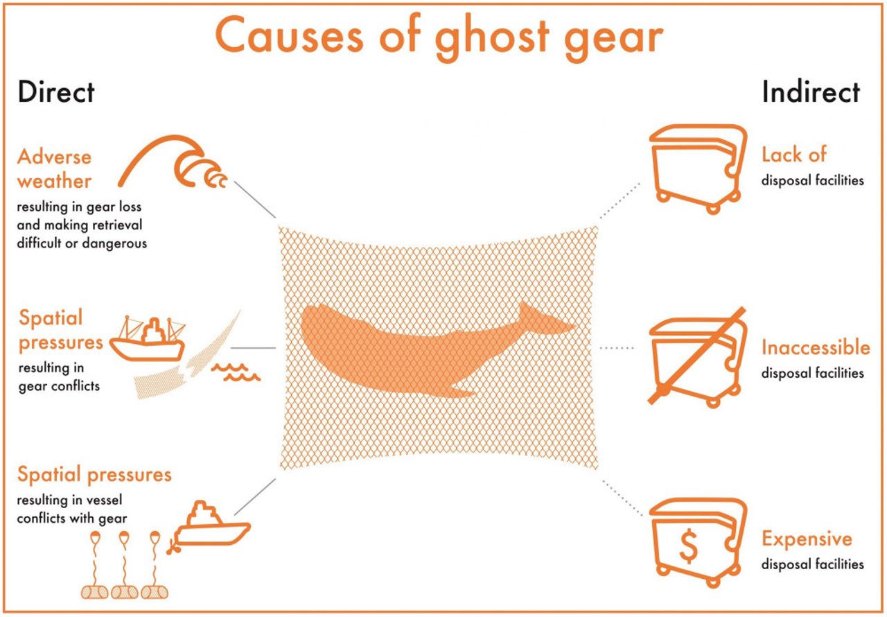 wap_seachange_fullpg_infographic_eng_final