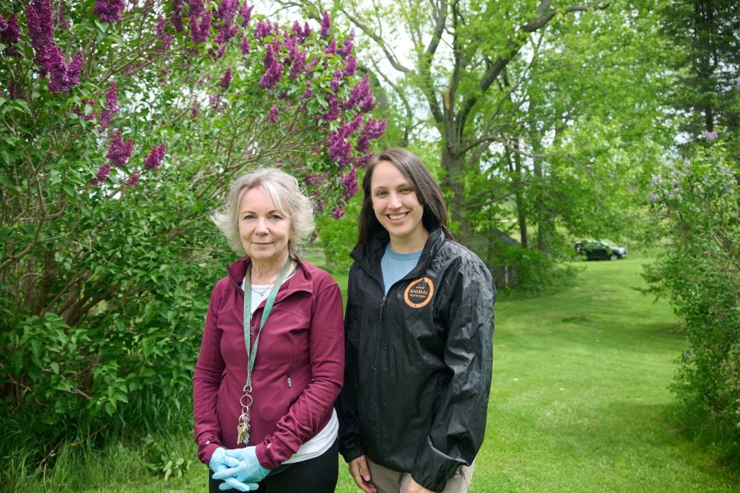 Story Book Farm Primate Sanctuary