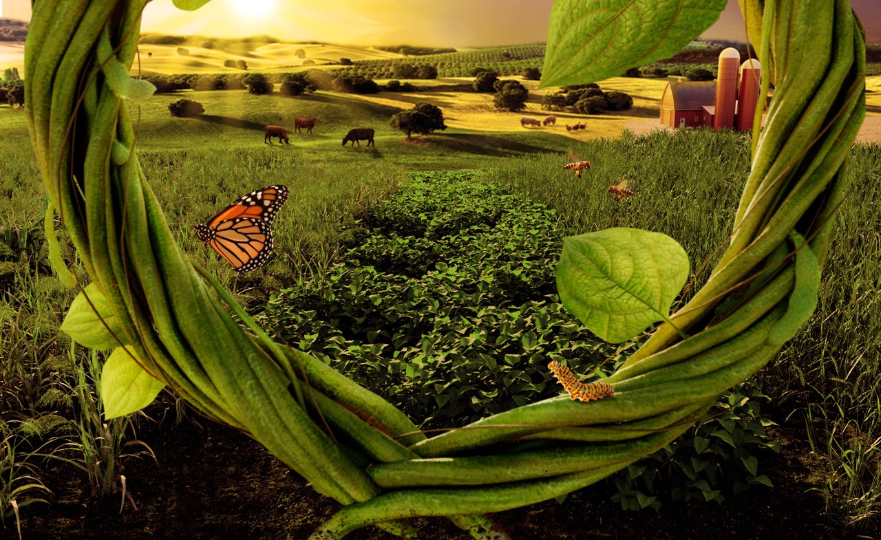 WAP_Hill-Times_ENV_LandingPage.png