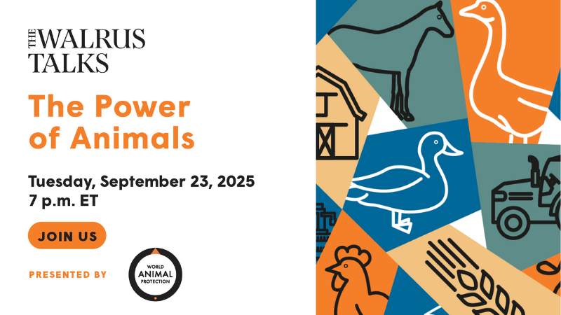 Walrus Talks: The Power of Animals
