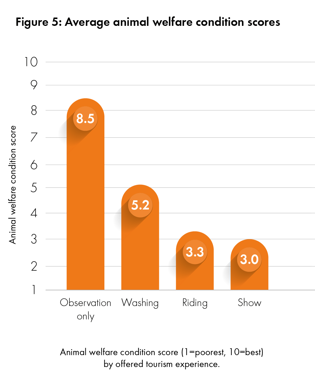 Average animal welfare condition scores