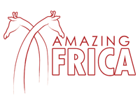 Amazing Africa travel logo