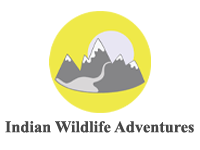 Indian Wildlife Adventures logo