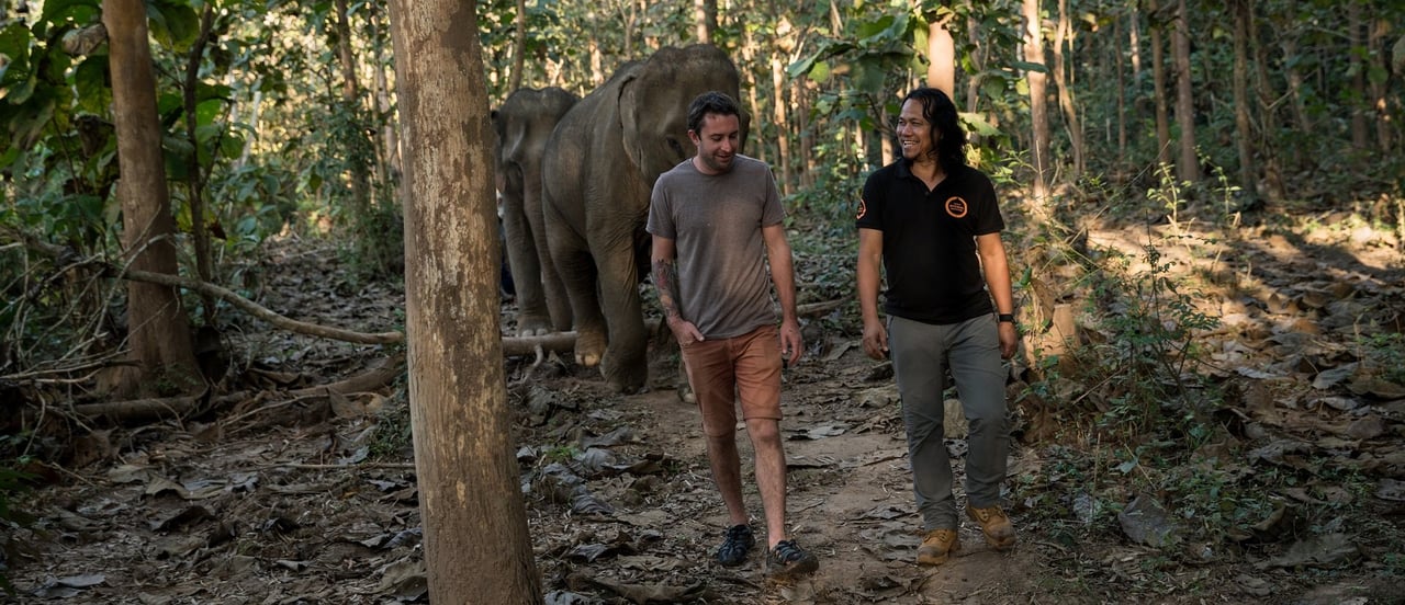 A wildlife friendly travel experience