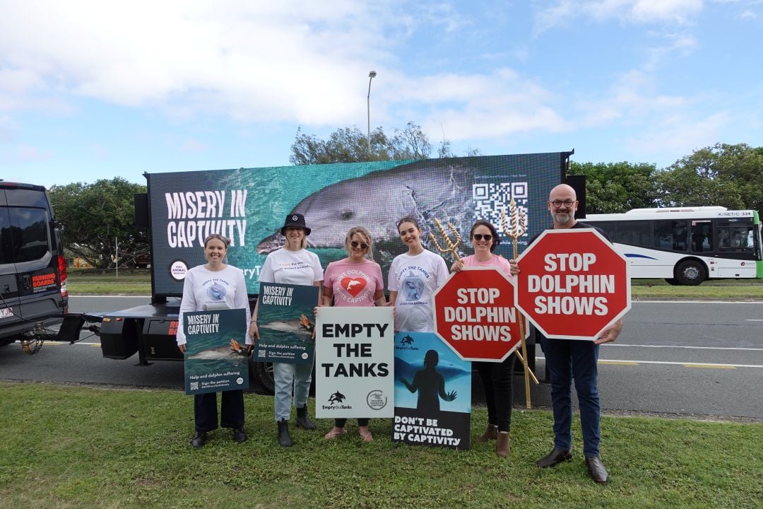 World Animal Protection staff protesting against dolphin shows
