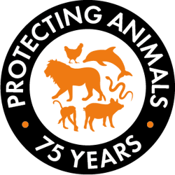 Protecting animals for 75 years