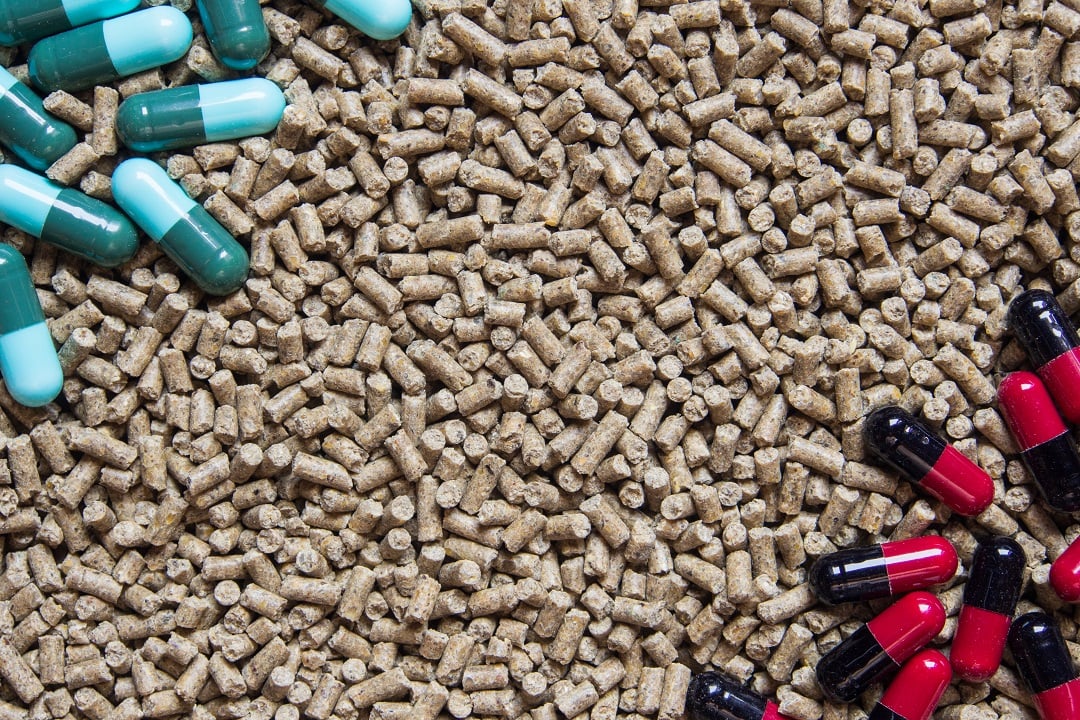 Antibiotics in animal feed