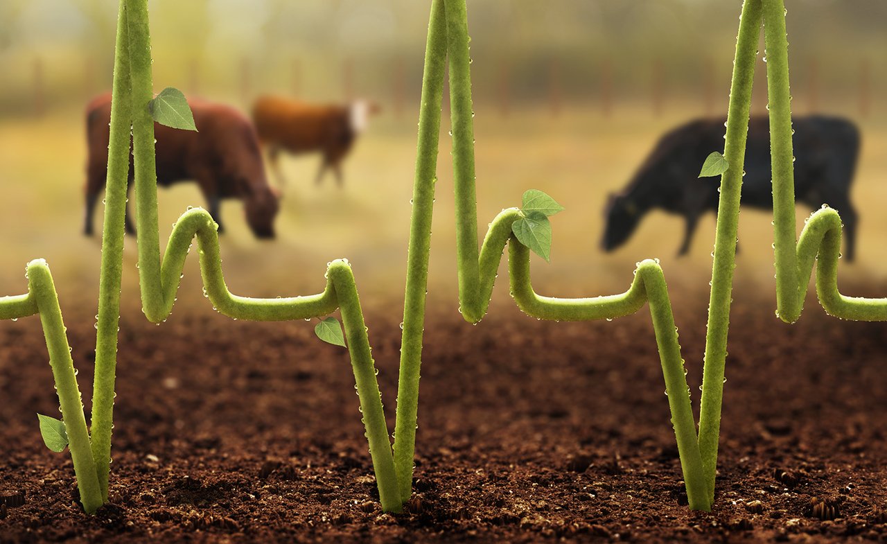 WAP_Hill-Times_Health