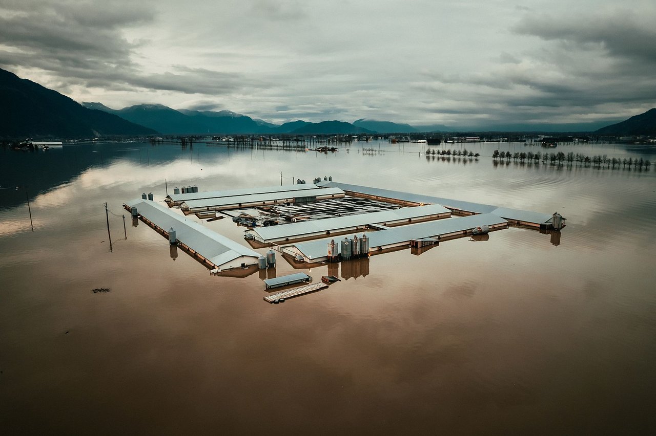 A farm sits partially submerged in water from the Abbotsford, BC floods in November of 2021.