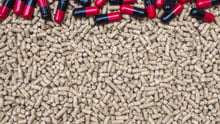 Antibiotics in animal feed