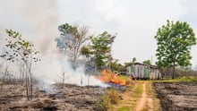 Fire in Brazil's Amazon rainforest
