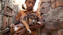 A young boy holding a dog