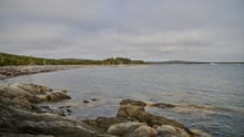 Whale Sanctuary Project site in Port Hilford, Nova Scotia