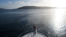 We influence the Vanuatu action plan to help animals