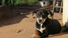 After Idai – your help in pictures 