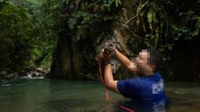 Why \"swim with otters\" programs are totally wrong