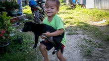 world rabies day