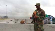 Corporal Williams with Irma the kitten in Barbuda - World Animal Protection - Disaster management