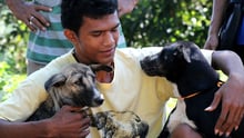 Man with two dogs