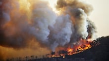 wild fire
