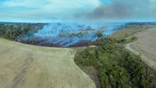 Climate change and factory farming