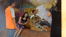 Tourists posing next to a tiger at a tiger entertainment attraction