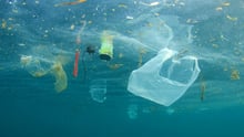 Plastic pollution in the ocean