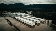 Aerial view of a large chicken farm sitting partially submerged in the flood waters in Abbotsford, BC, 2021.