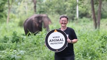 World Animal Protection global CEO Tricia Croasdell at Elephant Forest Phitsanulok (EFP).