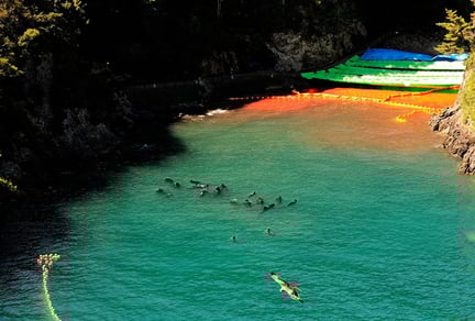 Taiji dolphin hunts