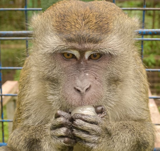 Jono after rescue