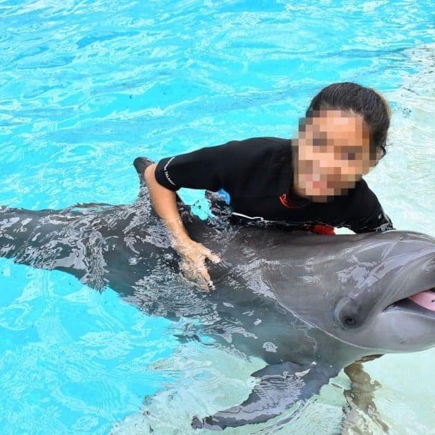 Cruelty in the world's top zoos