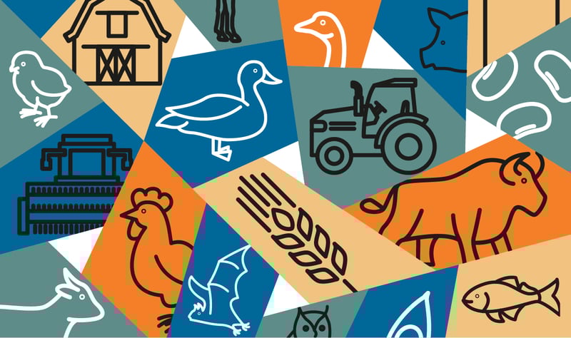 A graphic of animal line art