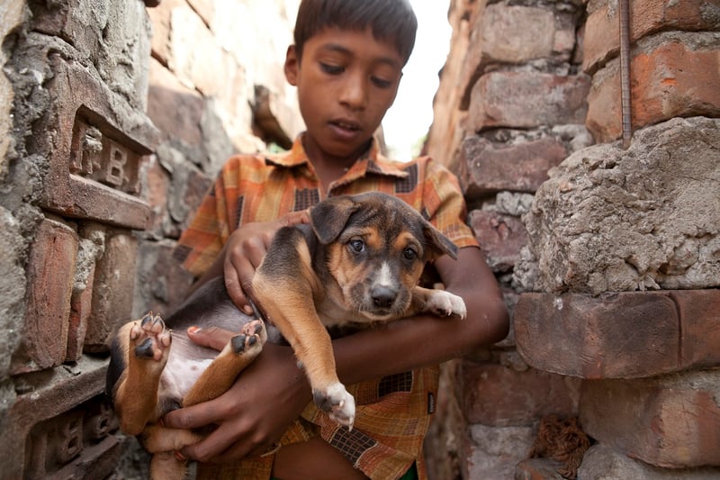 A young boy holding a dog