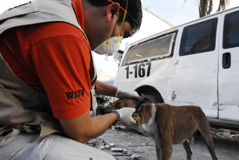 Remembering Haiti, Seven Years On from the Terrible Earthquake