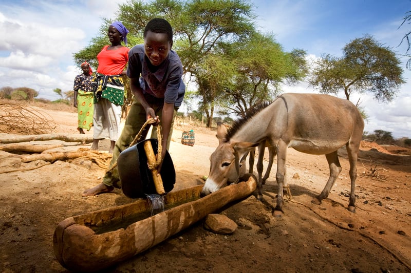 kenya drought