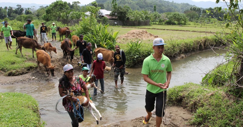 Leading a community drill in the Central Visaya, Philippines