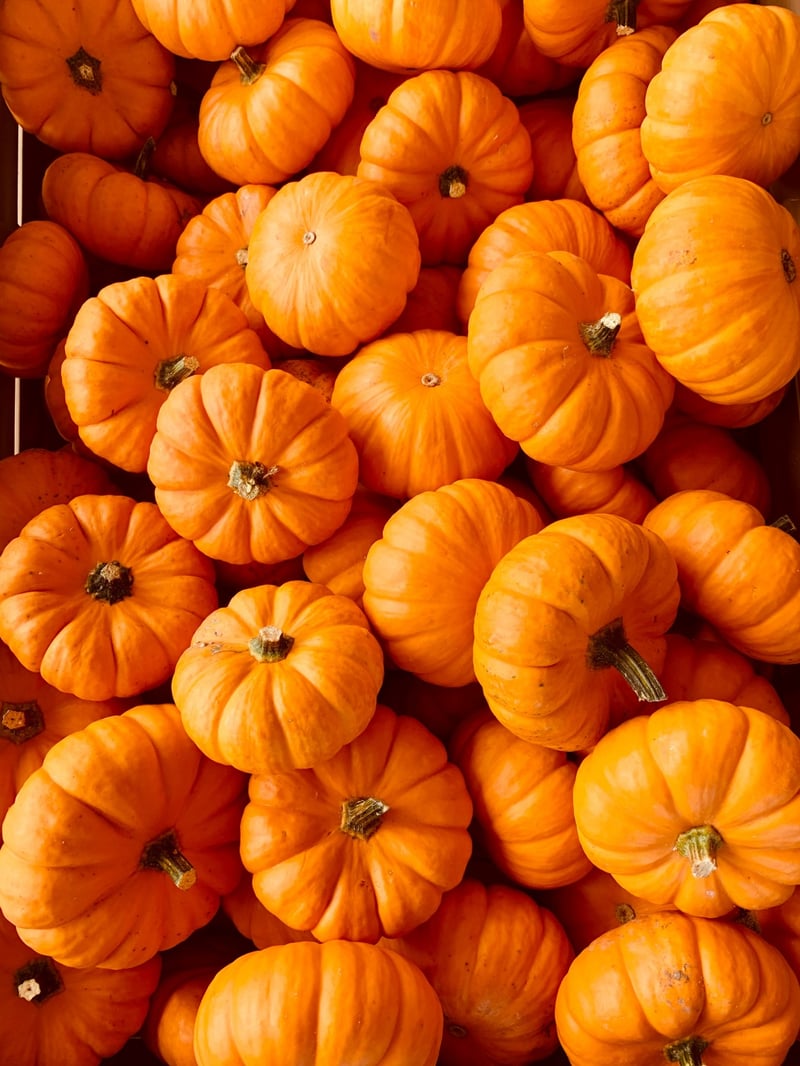 Pumpkins
