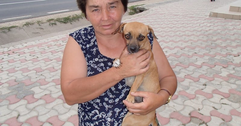 A woman brings her dog to the Save the Dogs mobile clinic
