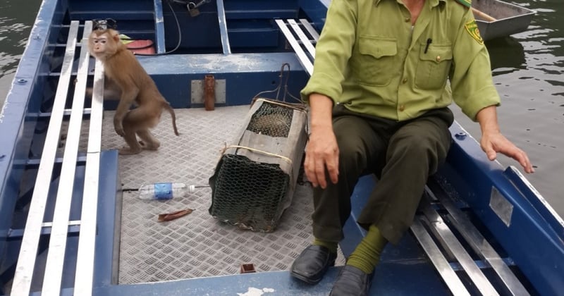 The rescue team in a boat with the two macaques