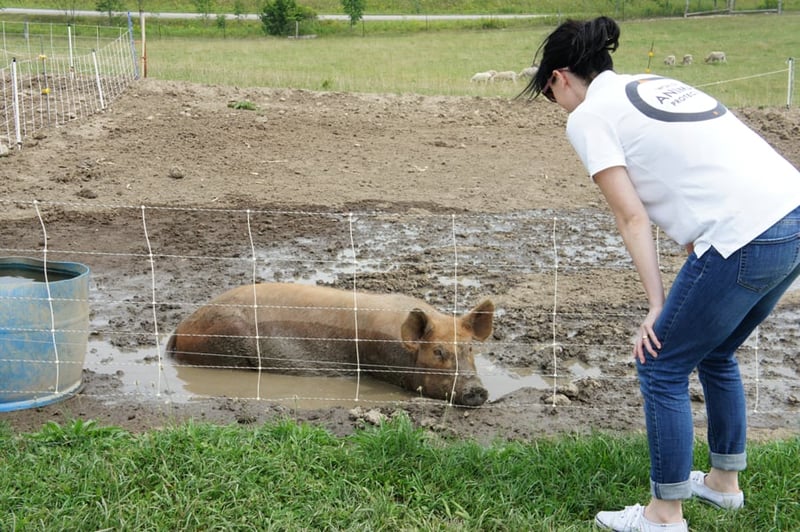 Beth on a high welfare farm