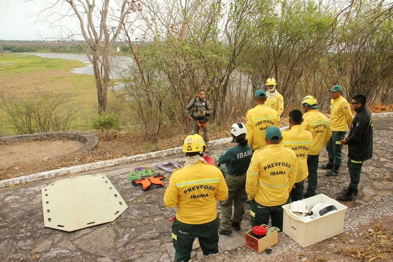 Firefighters training for animal rescue